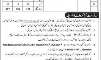 Elementary & Secondary Education Department Azad Jammu Kashmir NTS Jobs Application Forms 2024
