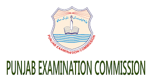 Online PEC 5th 8th Class Results 2018 Check by Roll No Name School Wise Search