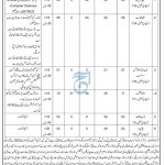 District and Session Court Chitral Jobs 2023