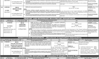 PPSC Jobs Advertisement No 28/2024 Online Apply