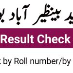 Shaheed Benazirabad Board Result 2022 12th Class