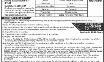 Sindh JEST PST Jobs 2024 STS Form Download