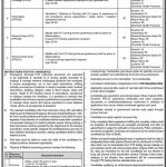 Sindh Rescue 1122 Jobs 2023 PTS Application Form